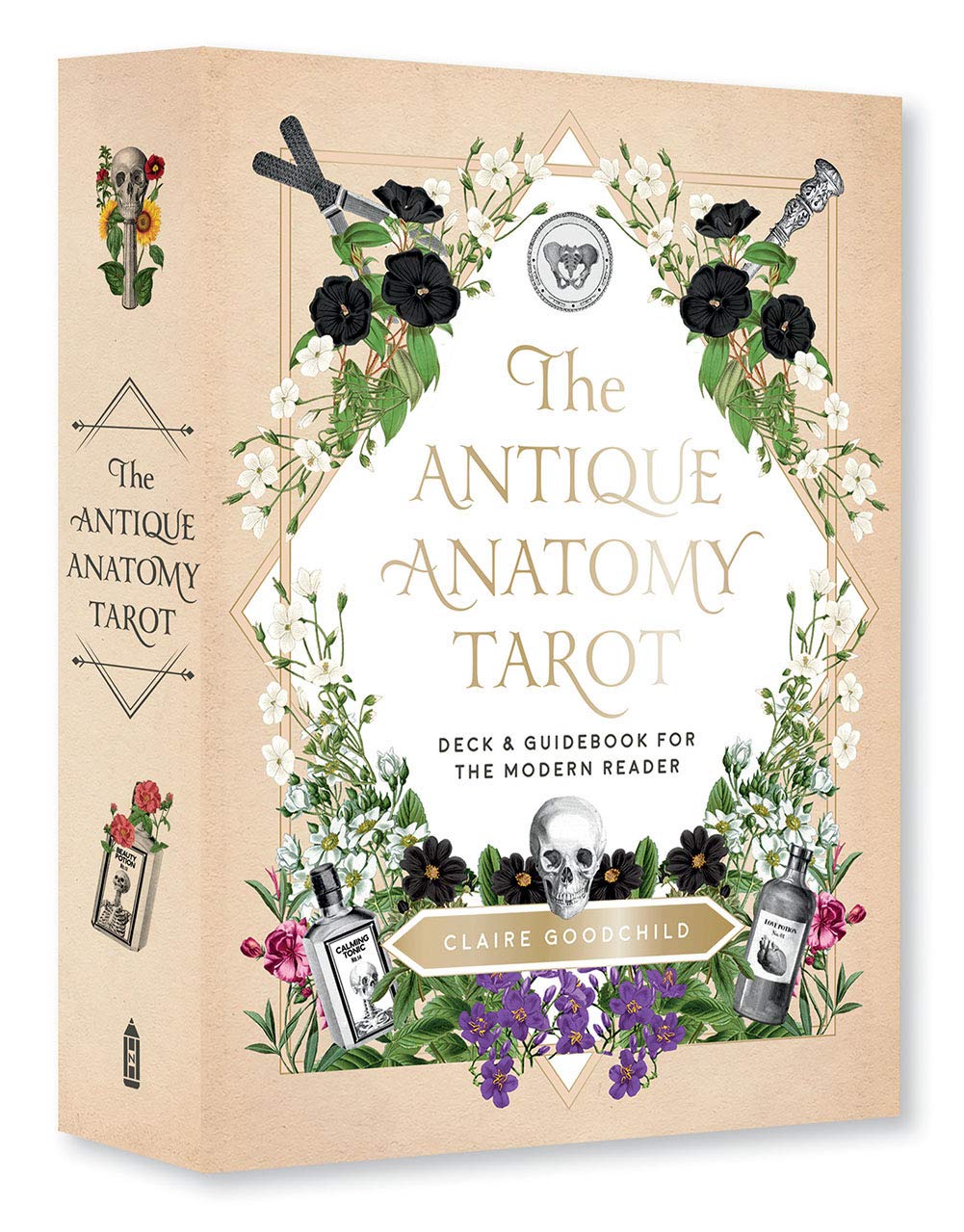 AntiqueAnatomyTarot