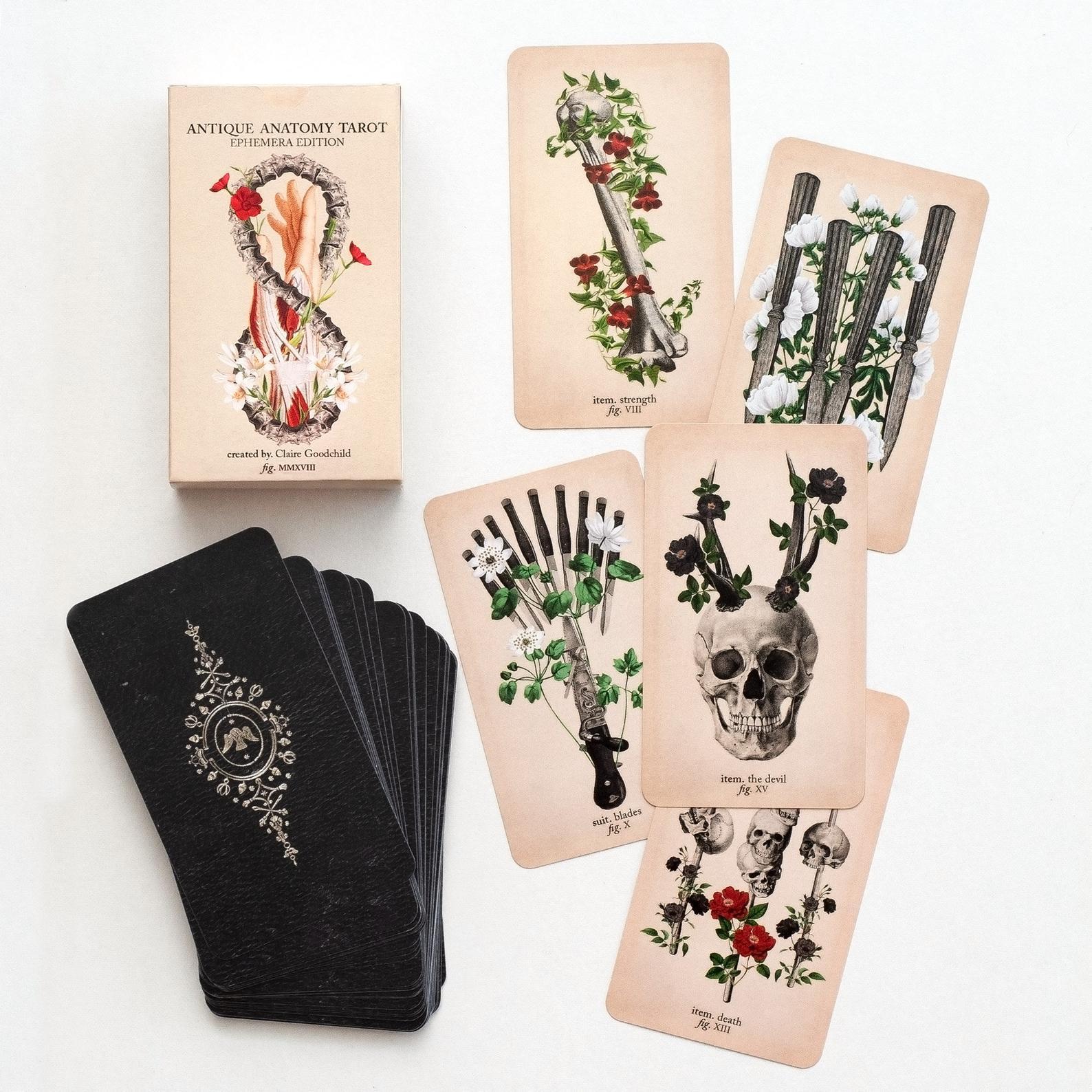 AntiqueAnatomyTarotCards