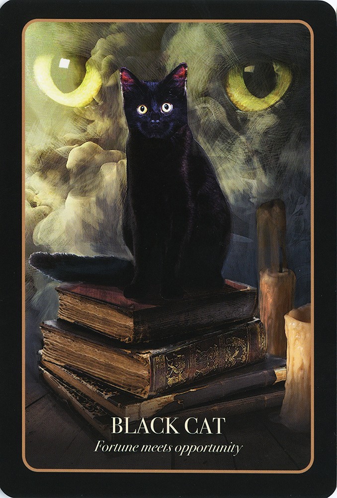 TheHalloweenOracleBlackCat
